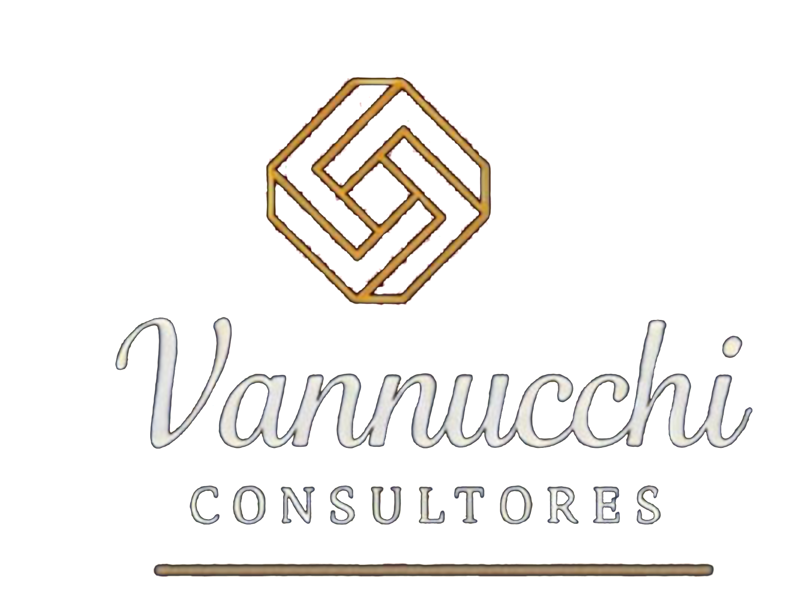 Vannucchi Consultores
